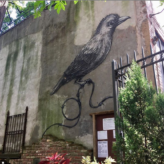 Roa