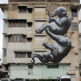 Roa