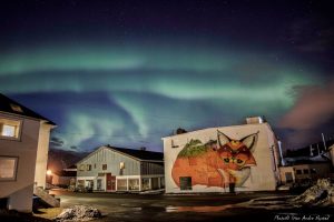 Picture of The Fox under the northern light by Stian Andre Nystad