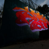 20191019_MG_1880