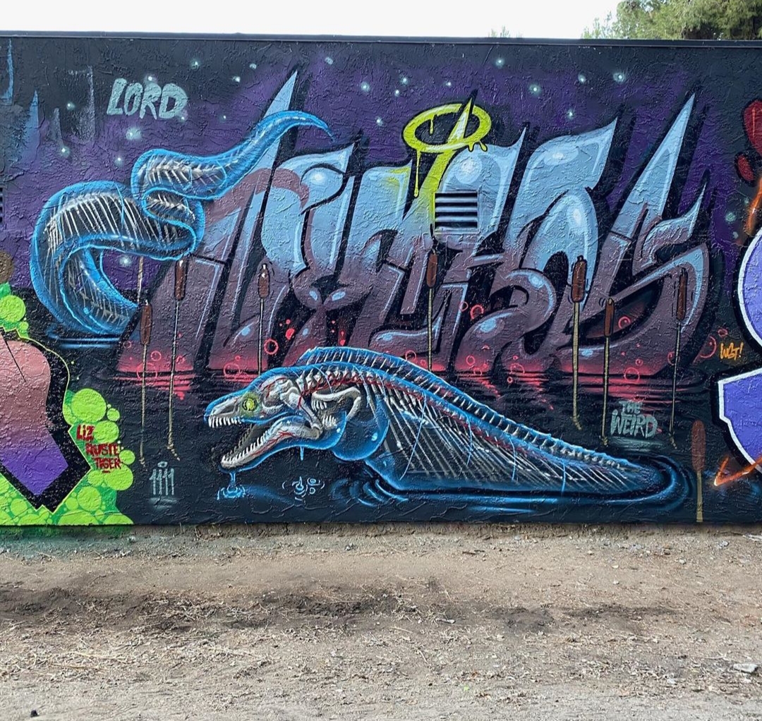 nychos street art