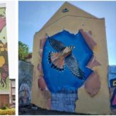 241114893_1207012986444007_3577673428157309104_n