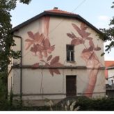 243394074_235309655281879_601559358799914253_n