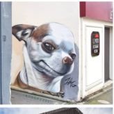 244642587_479185783063332_3526006403189296900_n