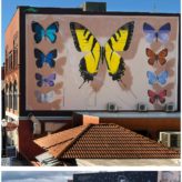 246209085_612738443238921_162950794070294173_n