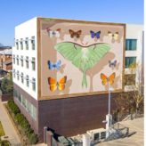 248338394_429302128803098_7807779605024560075_n