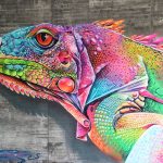 Amsterdam Street Art, Dopie, street art, contemporary art, graffiti,