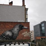 roa at keteleer gallery