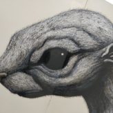 roa at keteleer gallery