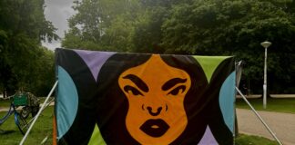 Project Spotlight: A Spray at the Park