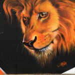 Art Smok Artist Belgium Amsterdam