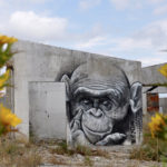 Art Smok Artist Belgium Amsterdam