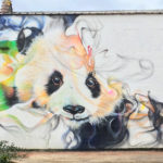 Art Smok Artist Belgium Amsterdam