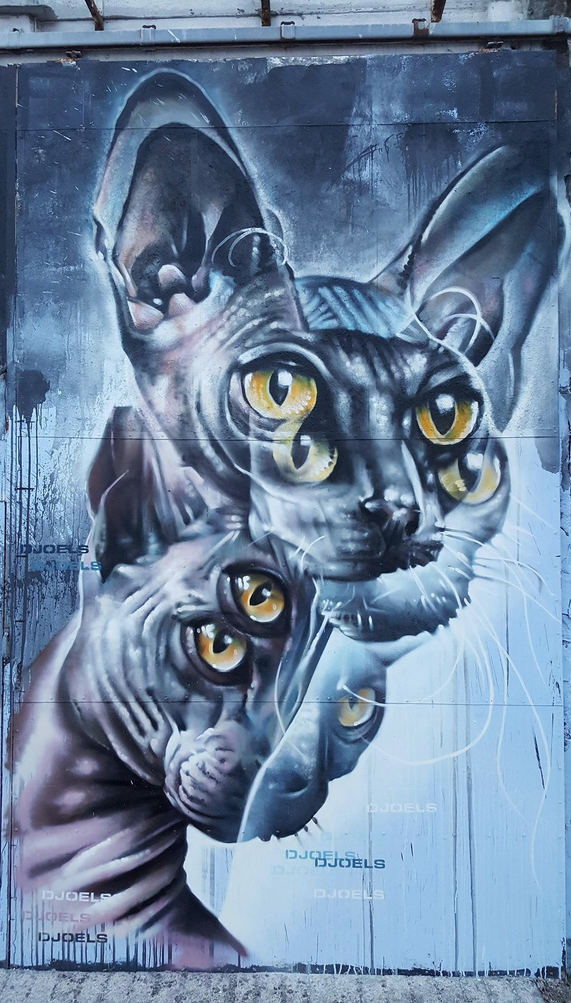 Djoels graffiti Amsterdam