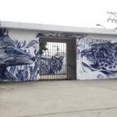 arodrigo49