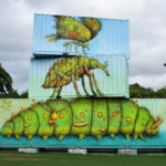 container insectos