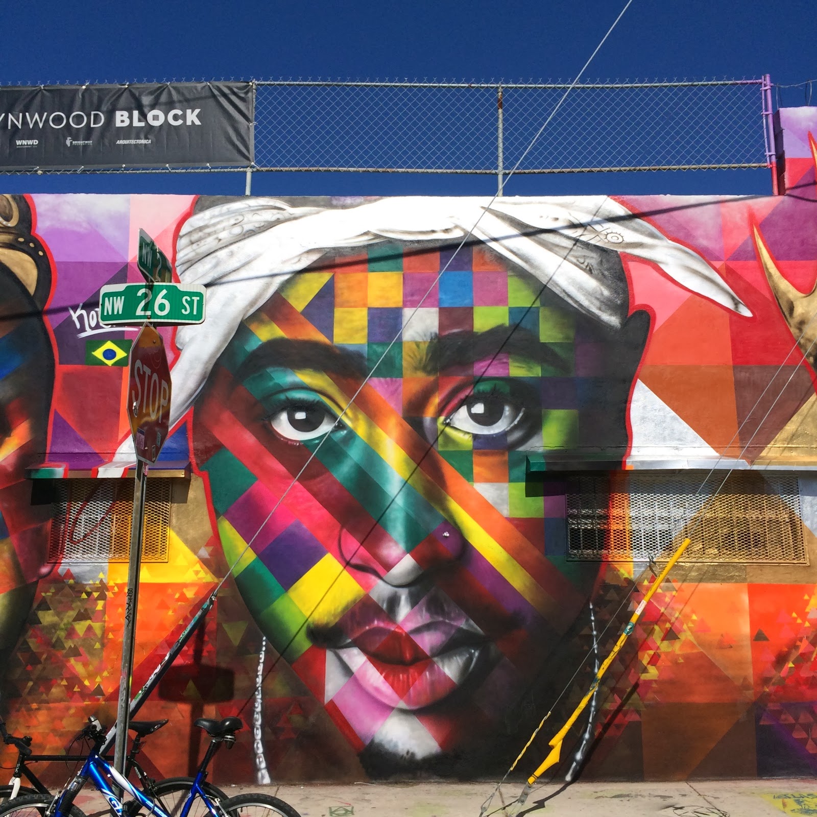 tupac kobra wynwood street art