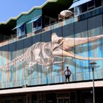 leon keer whale