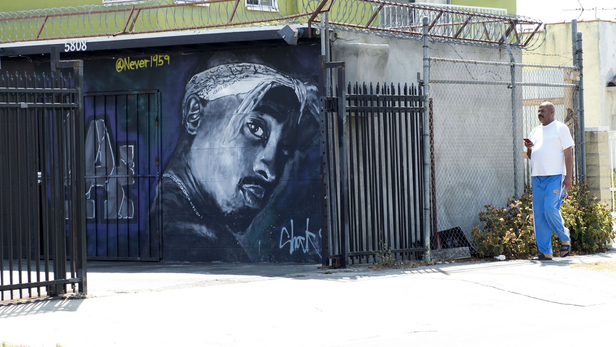 tupac street art never 1959