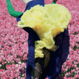 viviane-sassen-in-bloom